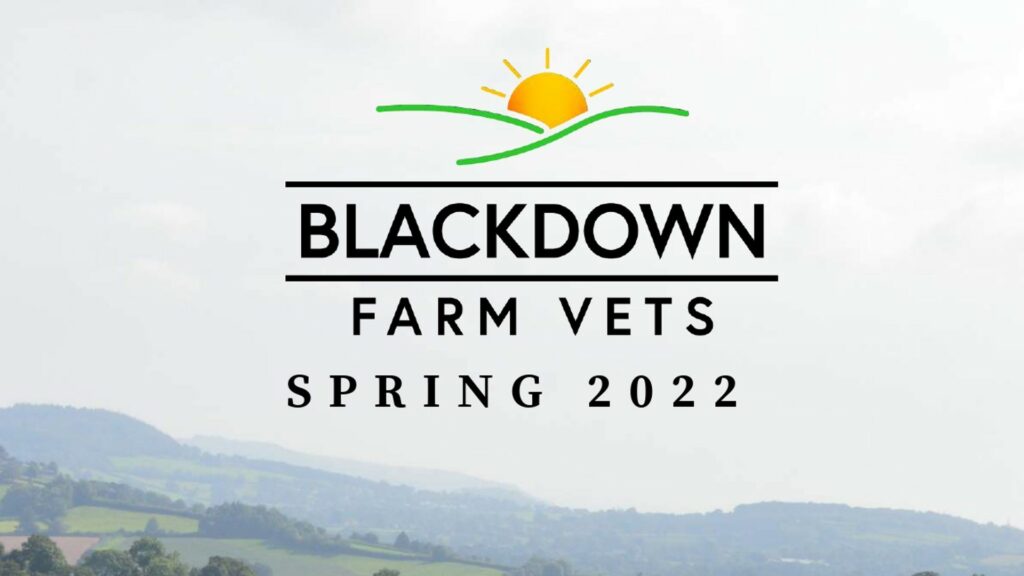 Welcome to the first Blackdown Farm Vets Newsletter! A big thank you for your support over the last 7 months. Click to read more...